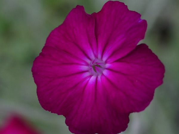 f:id:elmikamino:20120714093151j:image