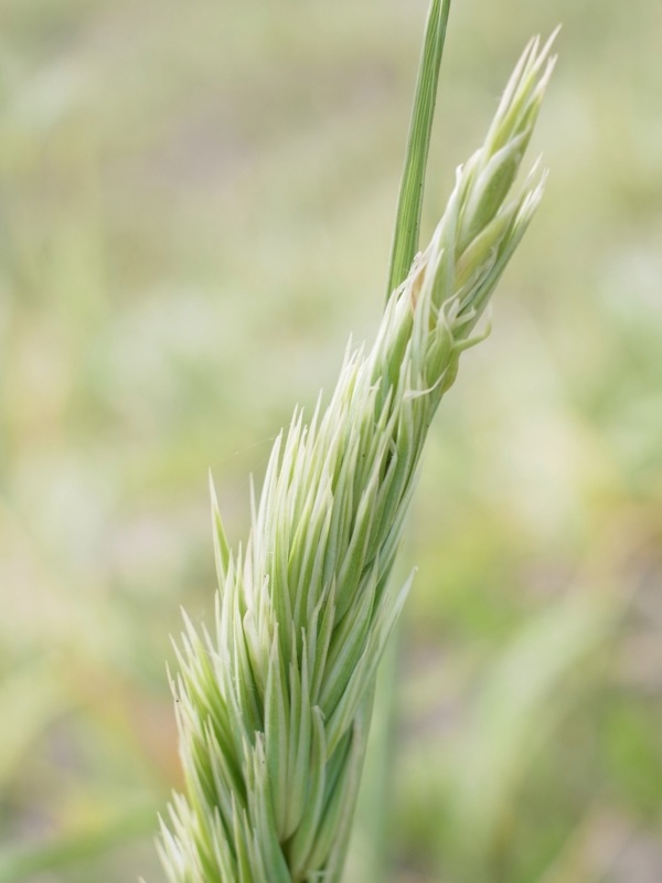 f:id:elmikamino:20120716125627j:image