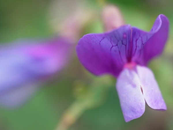 f:id:elmikamino:20120716130742j:image