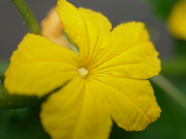 f:id:elmikamino:20120721082124j:image