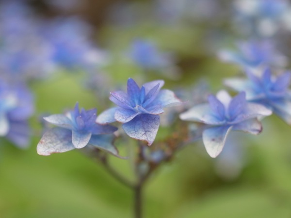 f:id:elmikamino:20120721102955j:image