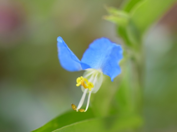 f:id:elmikamino:20120721103736j:image