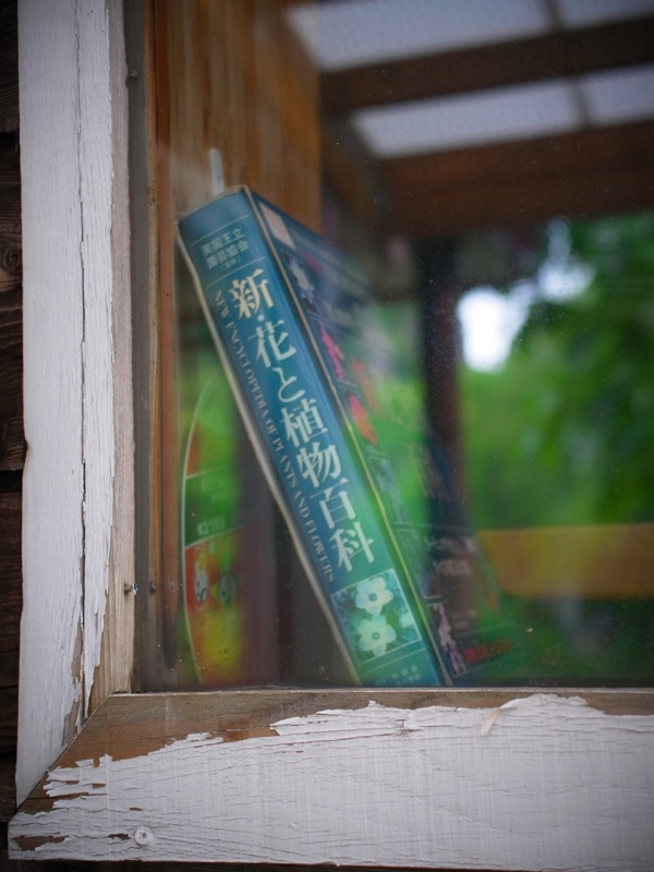 f:id:elmikamino:20120724134143j:image f:id:elmikamino:20120724134143j:image