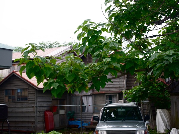 f:id:elmikamino:20120724160518j:image f:id:elmikamino:20120724160518j:image