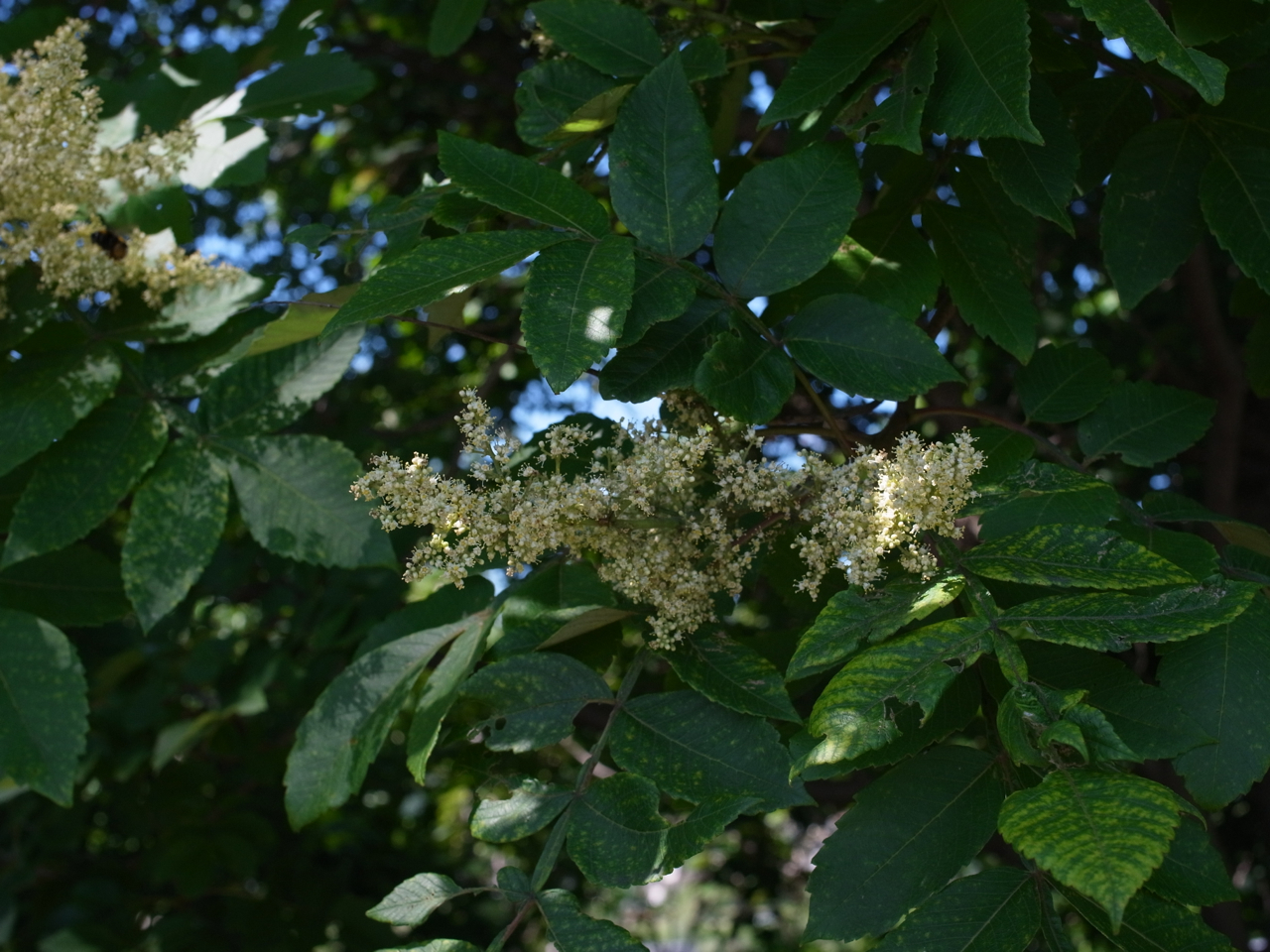 f:id:elmikamino:20120808105104j:image:w600