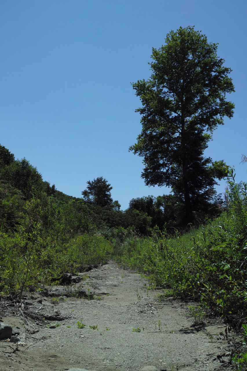 f:id:elmikamino:20120808110817j:image:w600