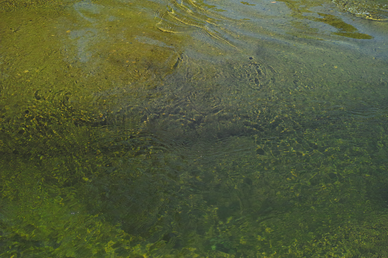 f:id:elmikamino:20120808112341j:image:w600