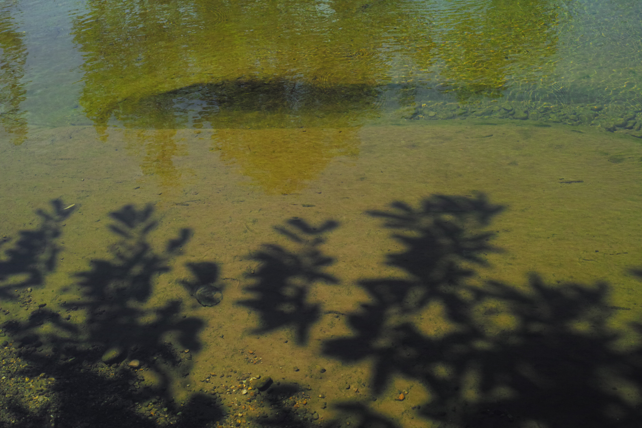 f:id:elmikamino:20120808112412j:image:w600