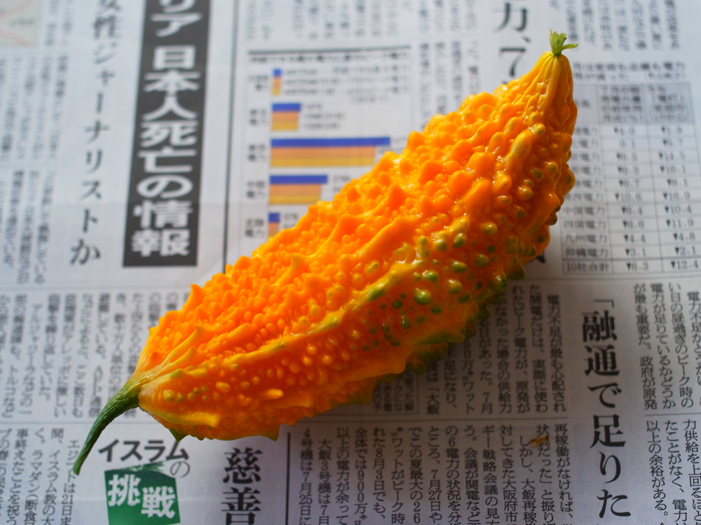 f:id:elmikamino:20120821092956j:image:w600
