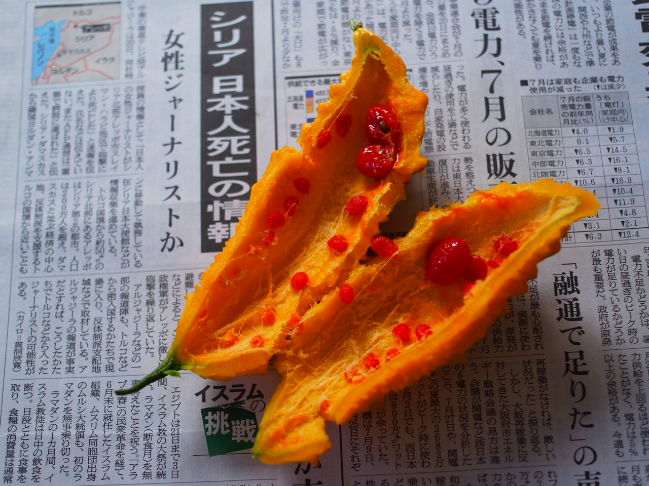 f:id:elmikamino:20120821105011j:image:w600