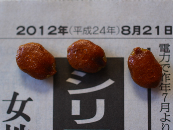 f:id:elmikamino:20120821115237j:image