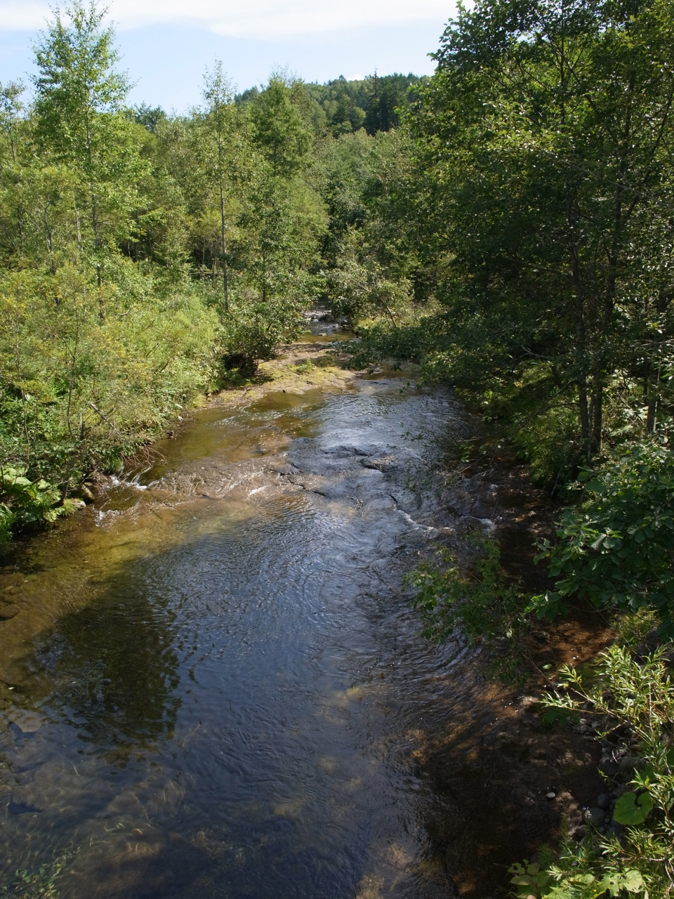 f:id:elmikamino:20120907125649j:image:w600 f:id:elmikamino:20120907125649j:image:w600