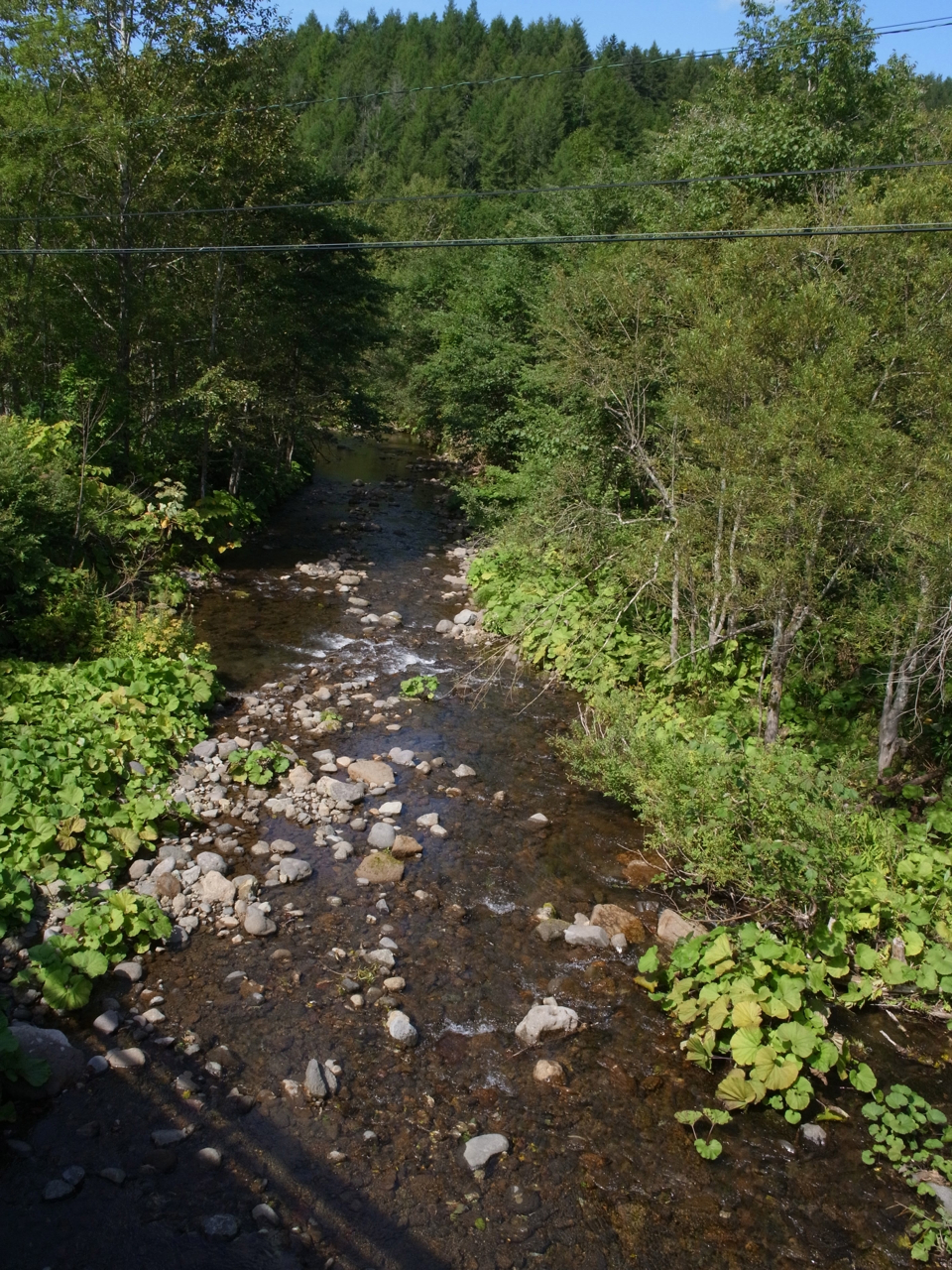f:id:elmikamino:20120907125710j:image:w600 f:id:elmikamino:20120907125710j:image:w600
