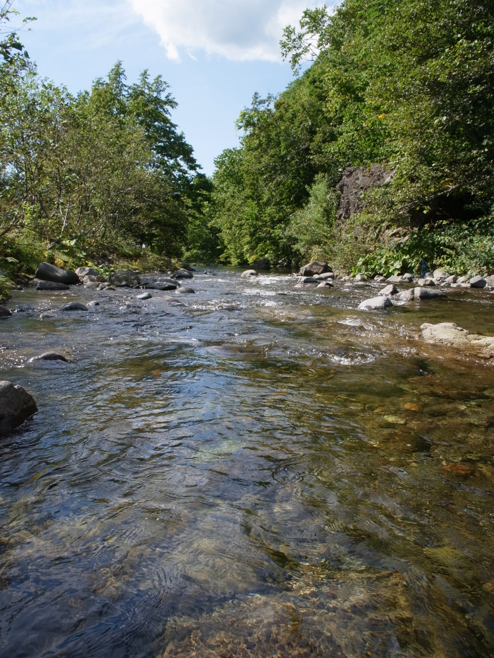 f:id:elmikamino:20120907134901j:image:w600 f:id:elmikamino:20120907134901j:image:w600