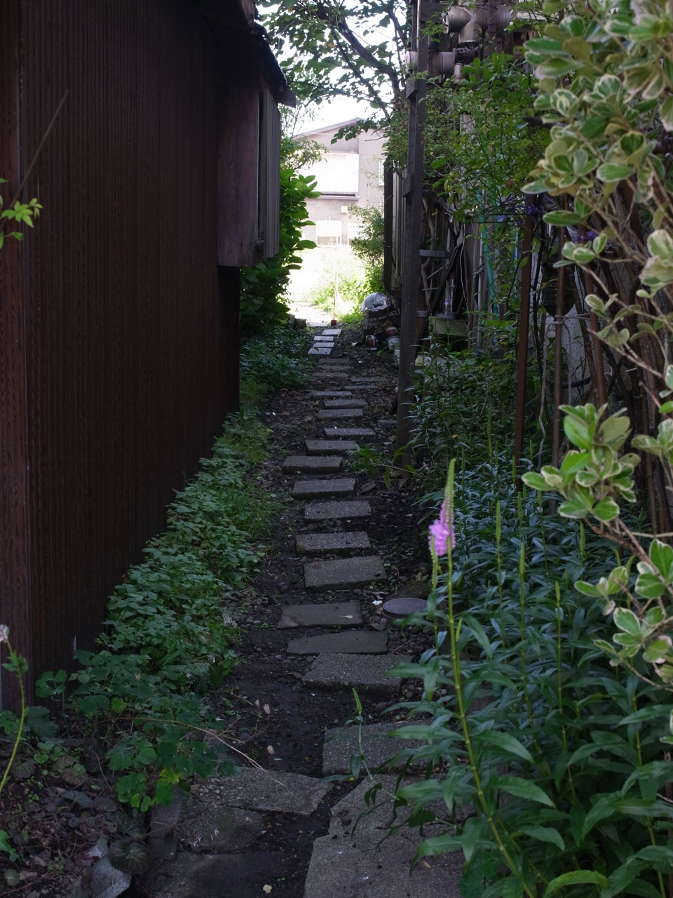 f:id:elmikamino:20120908101030j:image:w600