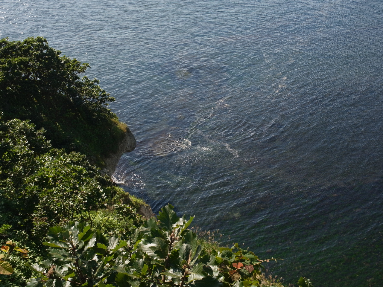 f:id:elmikamino:20120908141301j:image:w600