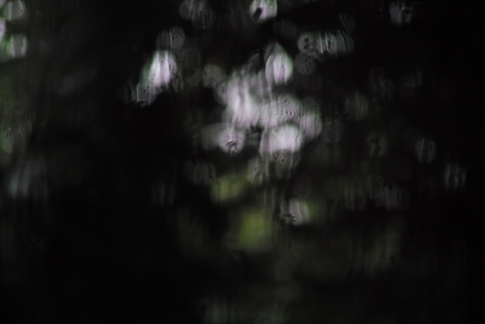 f:id:elmikamino:20120911170601j:image:w600