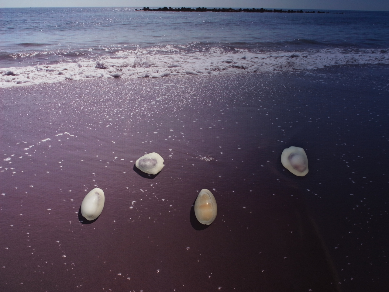 f:id:elmikamino:20120912125021j:image:w600