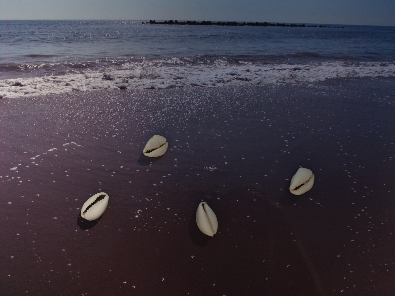 f:id:elmikamino:20120912125058j:image:w600