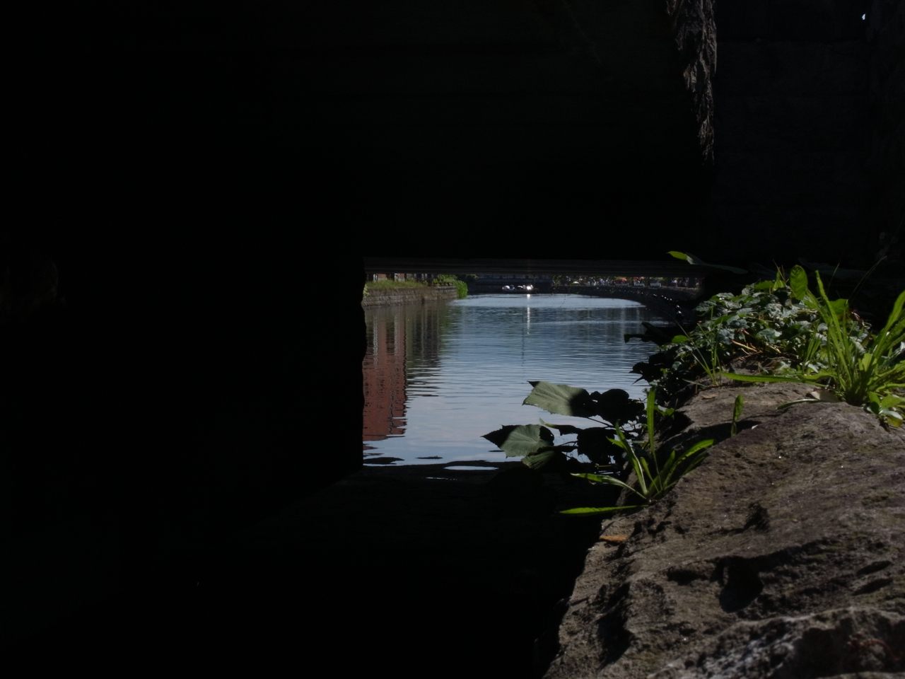 f:id:elmikamino:20120914121713j:image:w600