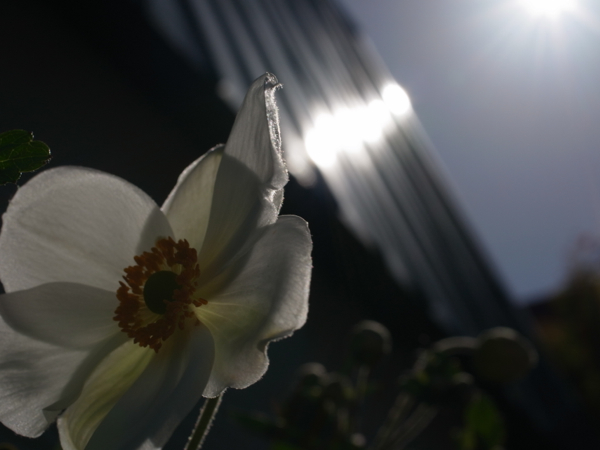 f:id:elmikamino:20120918102607j:image