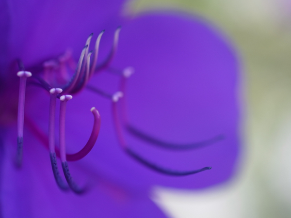 f:id:elmikamino:20120918103336j:image