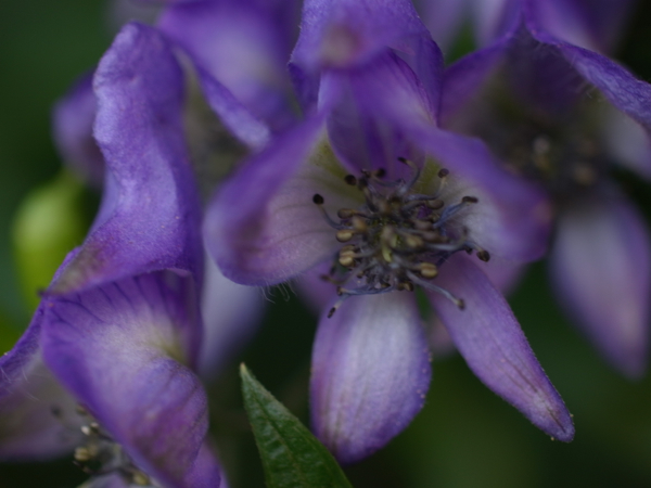 f:id:elmikamino:20120918104002j:image