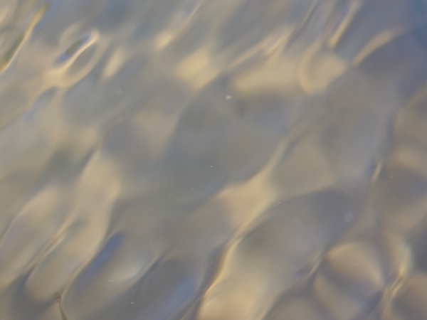 f:id:elmikamino:20120918114806j:image