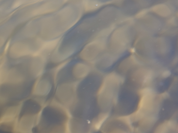 f:id:elmikamino:20120918114820j:image