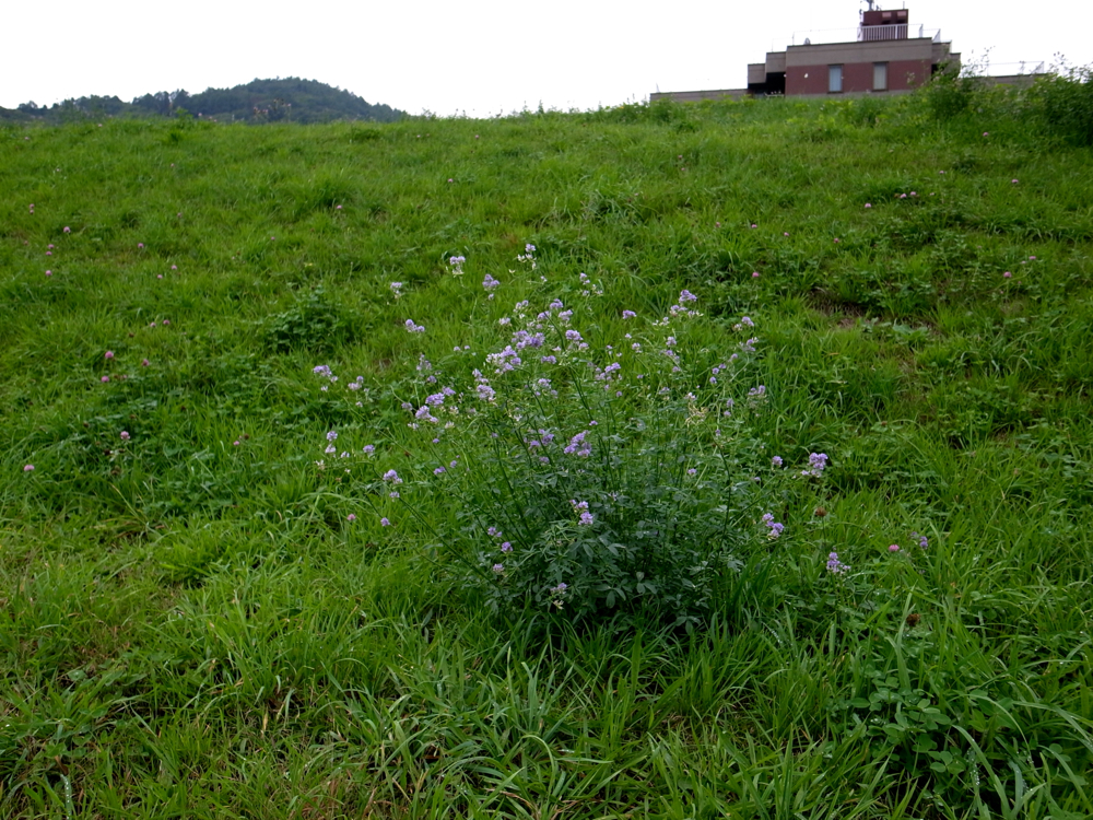 f:id:elmikamino:20120930115002j:image:w600