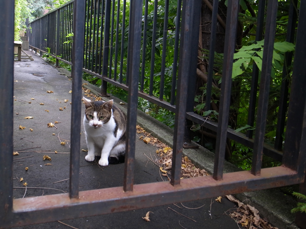 f:id:elmikamino:20121006124307j:image:w600