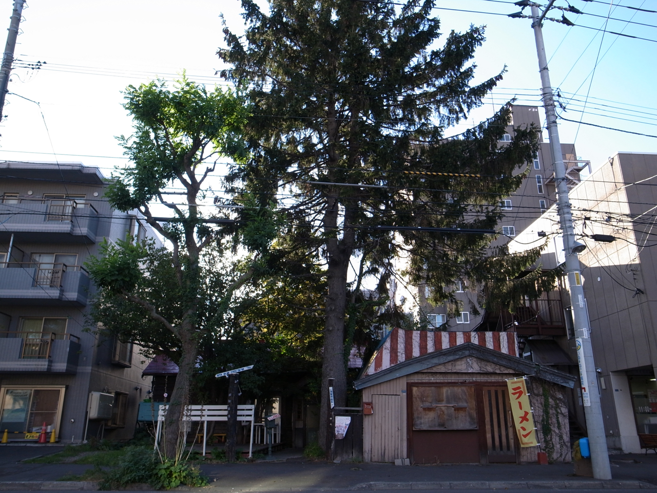 f:id:elmikamino:20121013153544j:image:w600
