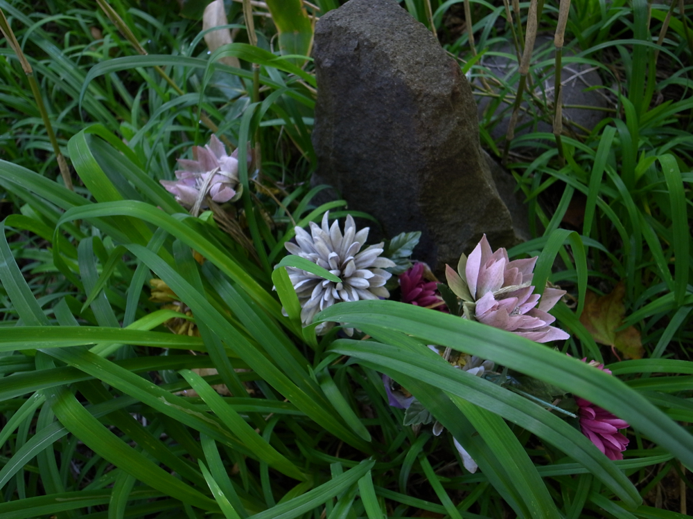 f:id:elmikamino:20121015114305j:image:w600