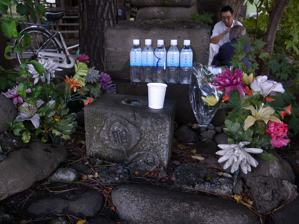 f:id:elmikamino:20121015114544j:image:w600