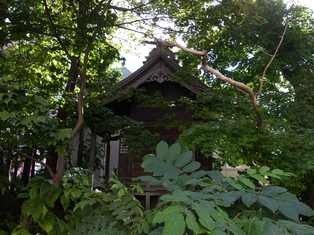 f:id:elmikamino:20121015114801j:image:w600