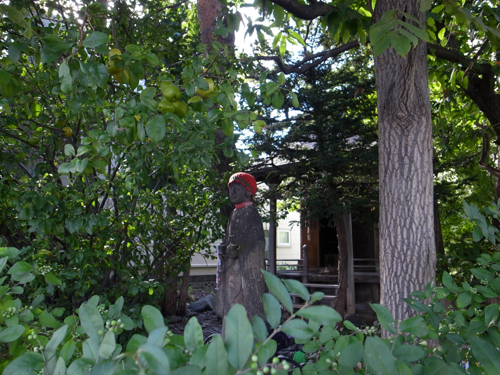 f:id:elmikamino:20121015114844j:image:w600