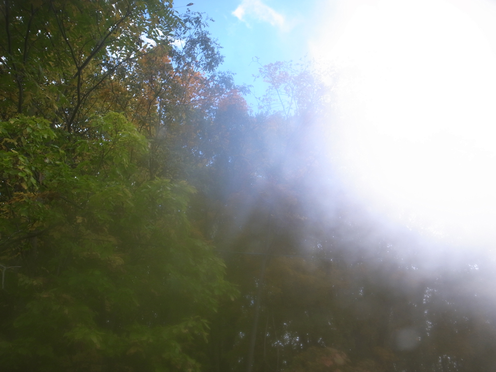 f:id:elmikamino:20121024092320j:image:w600