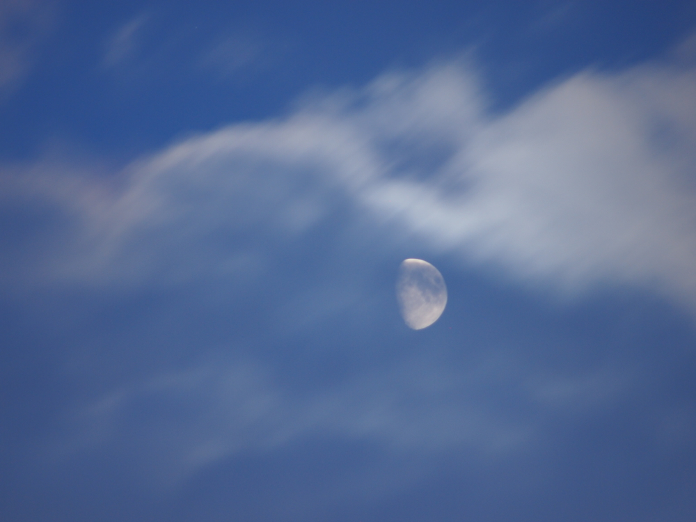 f:id:elmikamino:20121024171220j:image:w600