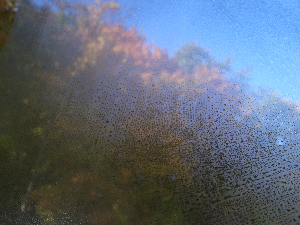 f:id:elmikamino:20121025083727j:image:w600