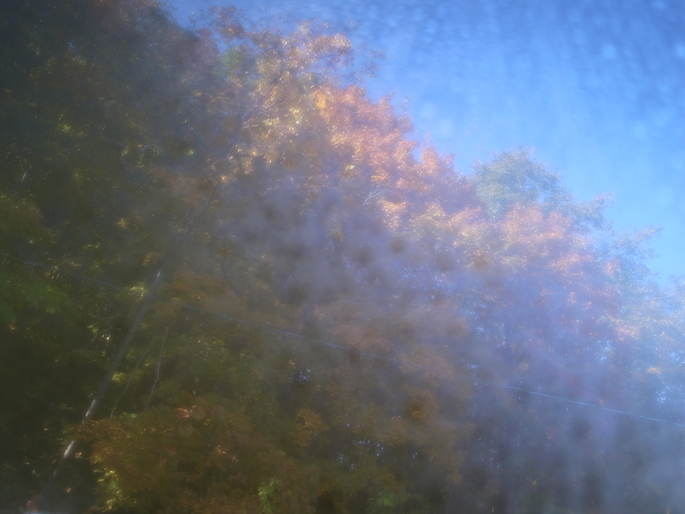 f:id:elmikamino:20121025083737j:image:w600