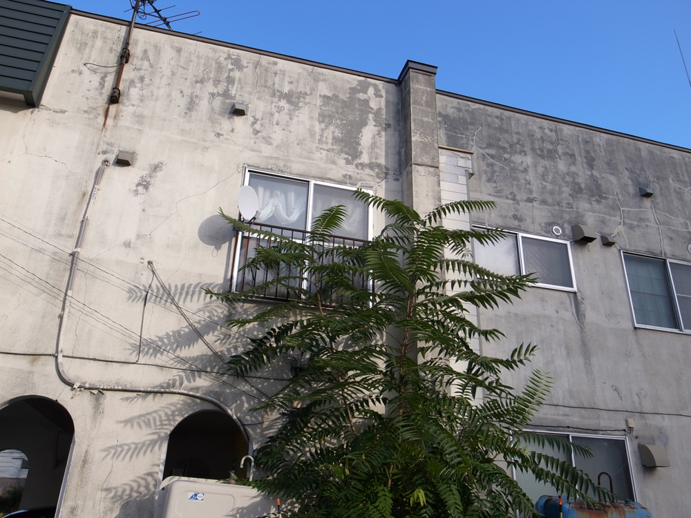 f:id:elmikamino:20121027143429j:image:w600