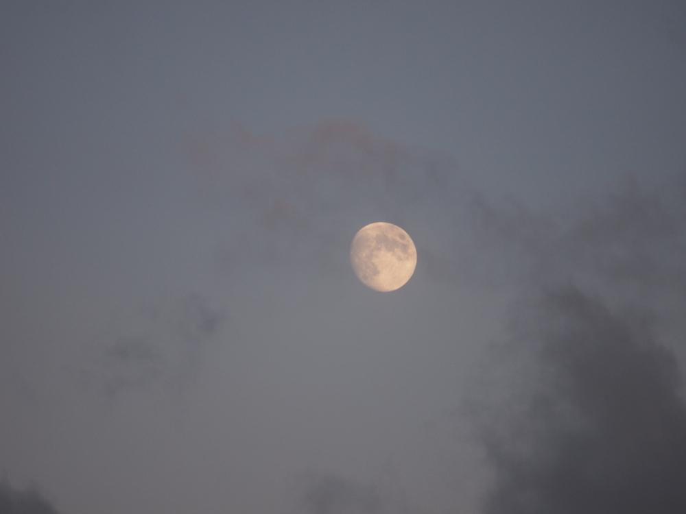 f:id:elmikamino:20121027162804j:image:w600