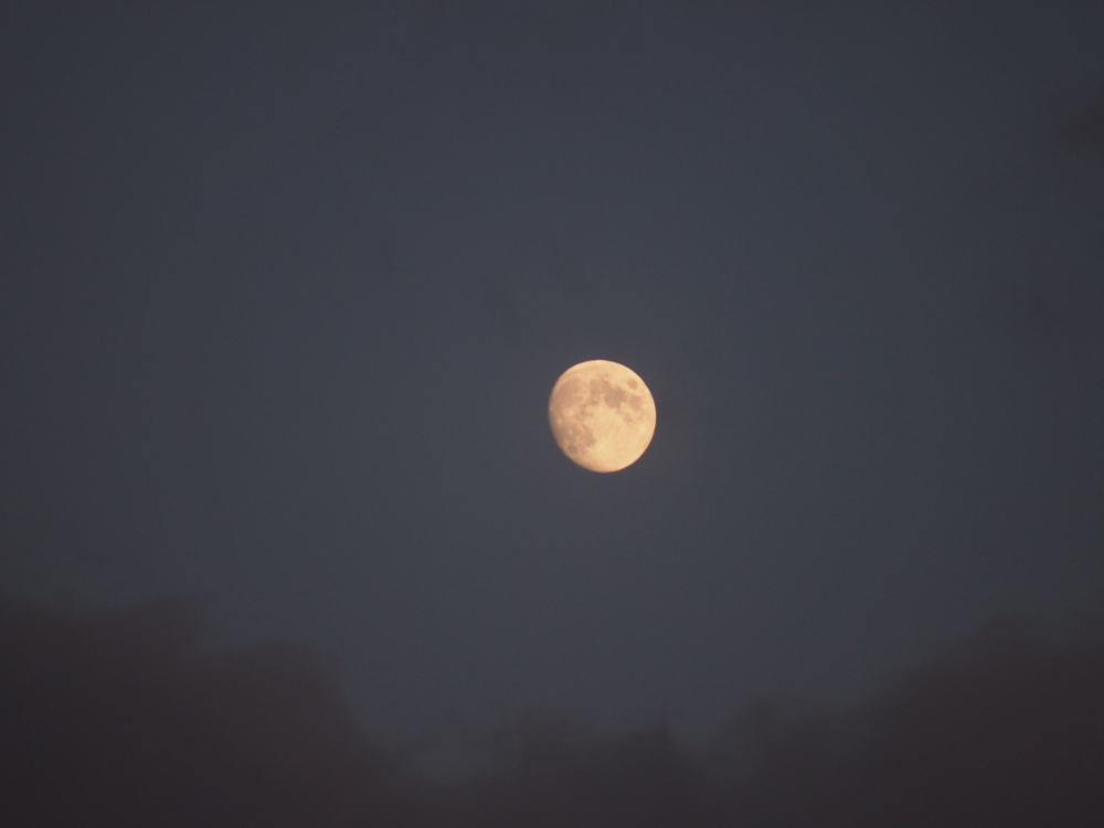 f:id:elmikamino:20121027163737j:image:w600
