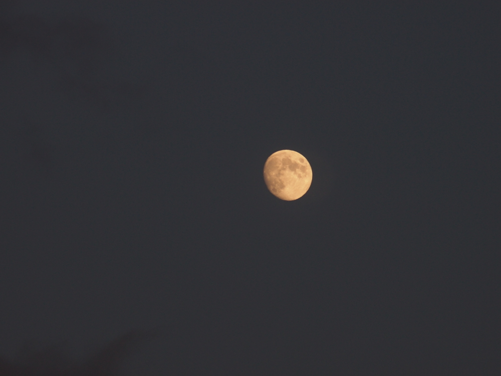 f:id:elmikamino:20121027163824j:image:w600