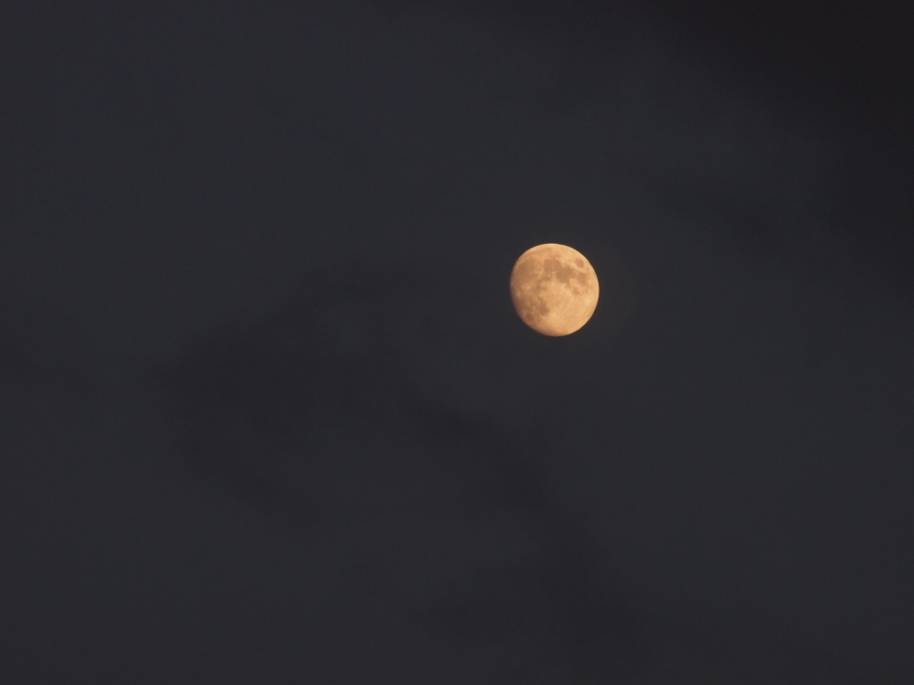 f:id:elmikamino:20121027163917j:image:w600