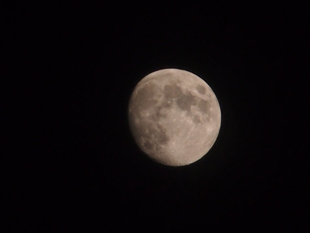 f:id:elmikamino:20121027170545j:image:w600