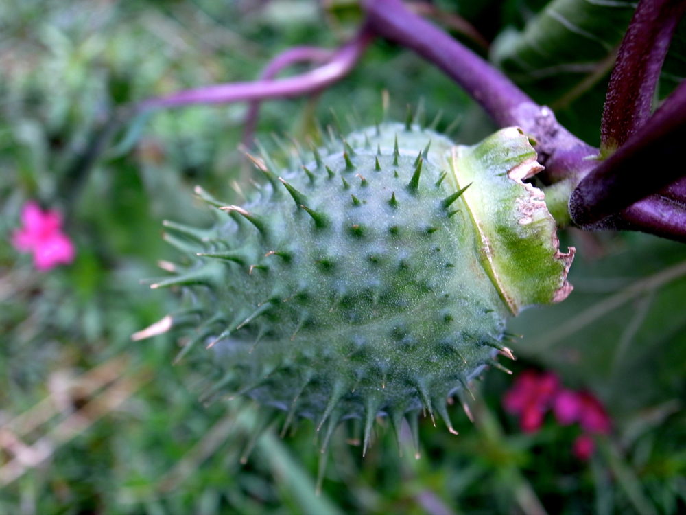 f:id:elmikamino:20121028111256j:image:w600