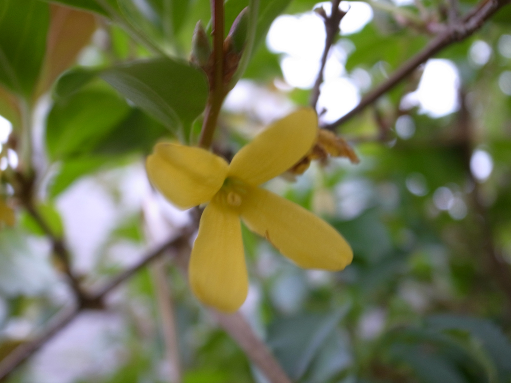 f:id:elmikamino:20121028113122j:image:w600
