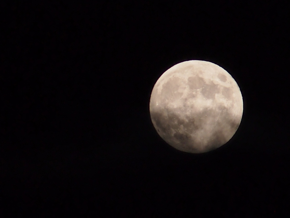 f:id:elmikamino:20121029172116j:image:w600