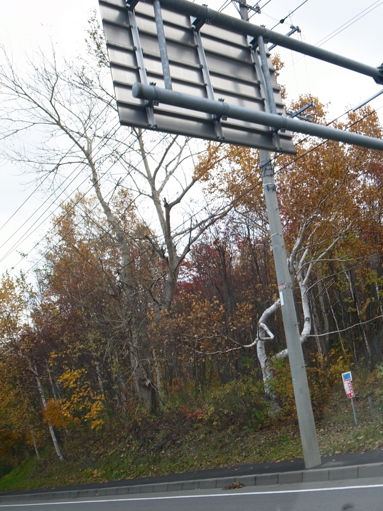 f:id:elmikamino:20121101093436j:image:w600